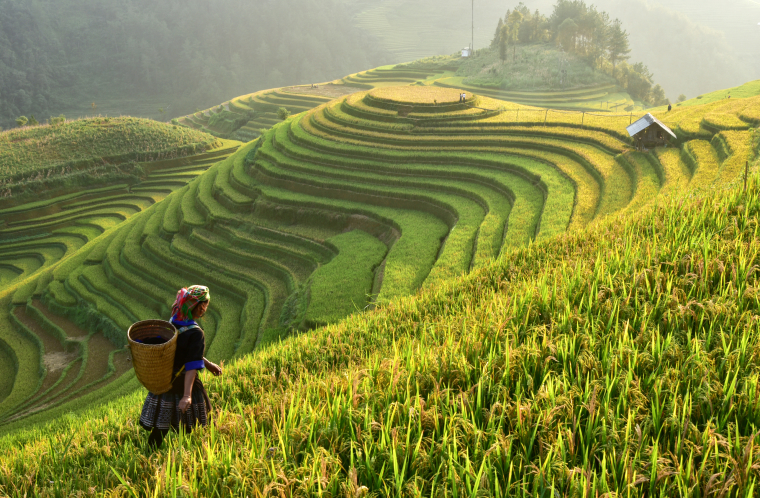 Bali